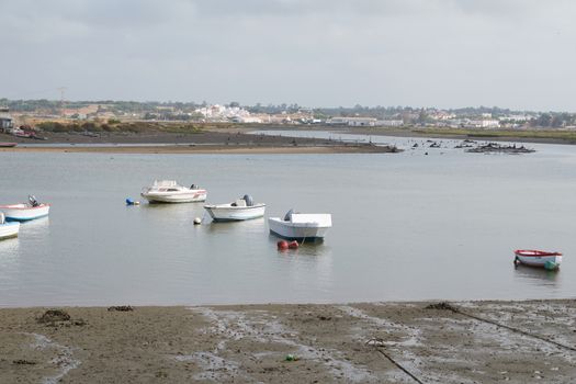 Fishing bay with boats at sea and in the mud and crabs walking in the sand