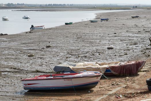 Fishing bay with boats at sea and in the mud and crabs walking in the sand