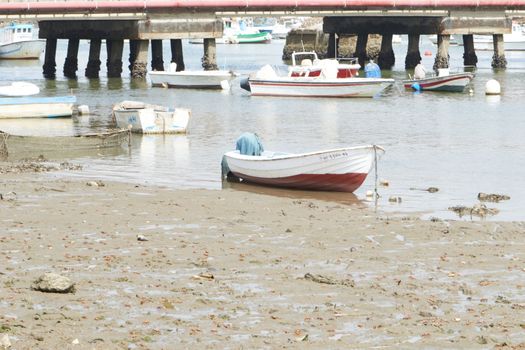 Fishing bay with boats at sea and in the mud and crabs walking in the sand