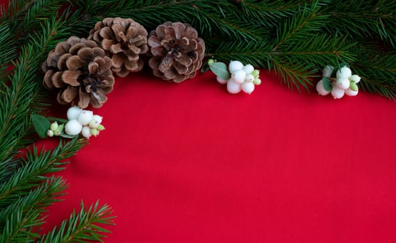 Three pine cones and spruce branches with white dogwood berries lie on a red background. The concept of New year and Christmas. Space for your text.