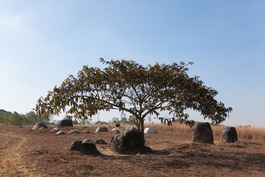 Plain of Jars, Phonsavan, Laos, historic site, the landscape of this area is dotted with hundreds of mysterious stone vessels or jars more than 2000 years old. Also the site of extensive bombing by America in the Vietnam War High quality photo