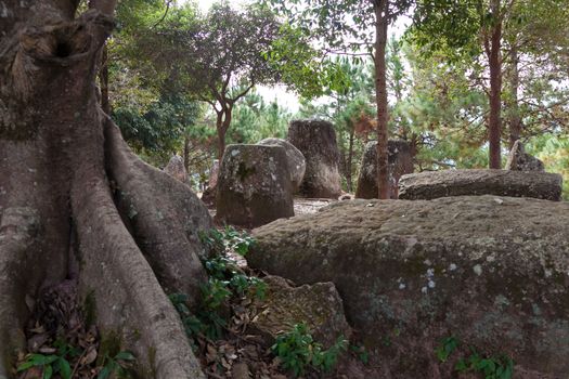 Plain of Jars, Phonsavan, Laos, historic site, the landscape of this area is dotted with hundreds of mysterious stone vessels or jars more than 2000 years old. Also the site of extensive bombing by America in the Vietnam War High quality photo