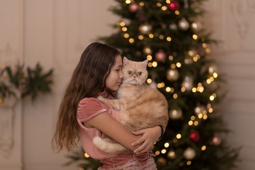 The girl spends the Christmas holidays with her cat.