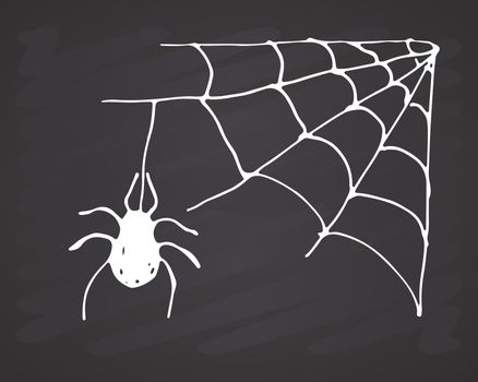 Spider web Hand drawn sketched web vector illustration on chalkboard background.