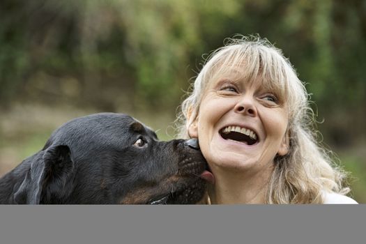 purebred rottweiler and woman in the nature in autumn