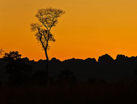 Beautiful pictures of  Laos