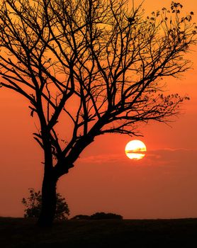 Beautiful pictures of  Laos