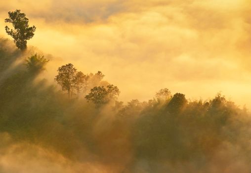 Beautiful pictures of  Laos