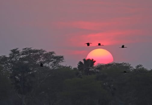 Beautiful pictures of Malawi