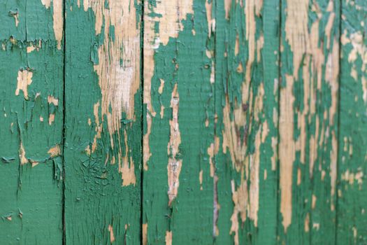 Dark green scratched grunge Wooden textured wall. Old wood texture with peeling paint.