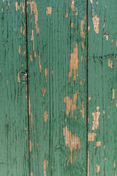Dark green scratched grunge Wooden textured wall. Old wood texture with peeling paint.