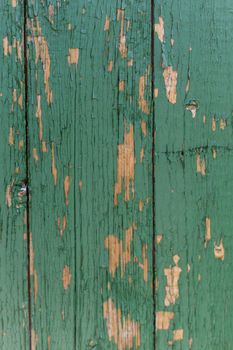Dark green scratched grunge Wooden textured wall. Old wood texture with peeling paint.