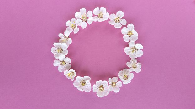 Bloom in circle on pink background. Simple flat lay with pastel texture. Fashion eco concept. Stock photography.