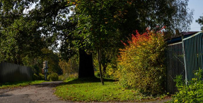 Old fence near the house among trees, flowers and shrubs on a Sunny autumn day.