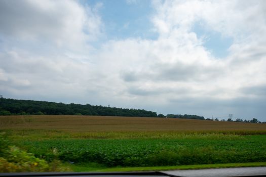 Looking Out the Car at a Huge Field Full of Fresh Crops Moving By