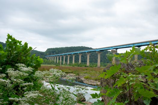 Looking in-between plants and rocks at The Norman Wood Bridge Over the Susquehanna River on a Cloudy Overcast Sky