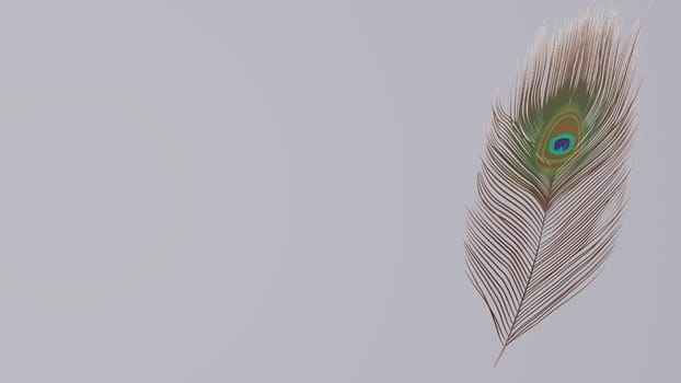 Soft silky feathers isolated on background with copy space for text and advertisement. Feather background with delicate fur and realistic looks. 3D rendering