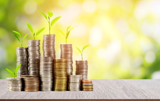 Young plants on coins stack on wood table with beautiful blurred green nature and sunlight background, concept for saving and financial business.