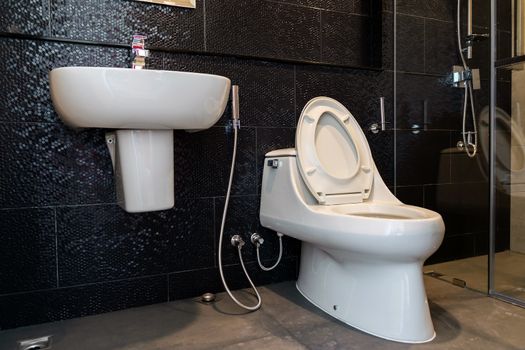 Close up the flush toilet and basin made of ceramic in the beautiful design bathroom.