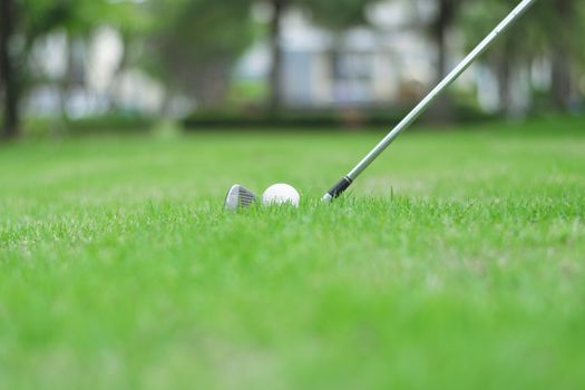 Close up to golf ball on green grass in golf course.