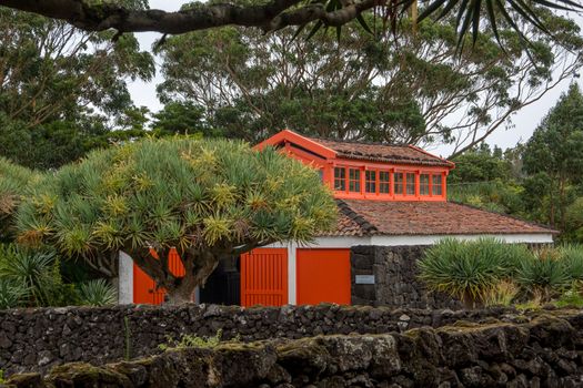 Walk on the Azores archipelago. Discovery of the island of Pico, Azores. Portugal. Madalena