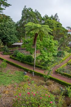 Walk on the Azores archipelago. Discovery of the island of Pico, Azores. Portugal. Madalena