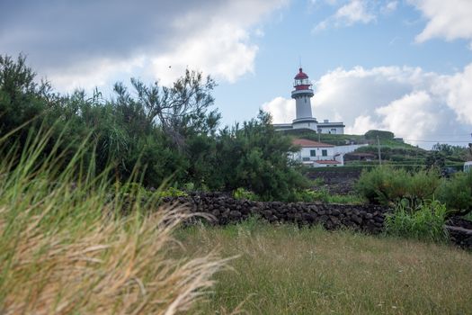 Walk on the Azores archipelago. Discovery of the island of sao jorge, Azores. Portugal , Velas