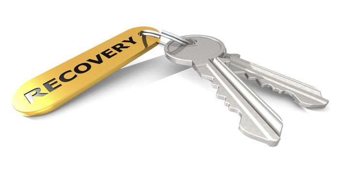 Recovery label attached to the keys, 3D rendering