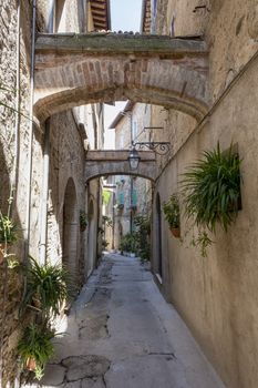 A very old street in a old city, Italy. Typical street of Toscany, Italy.