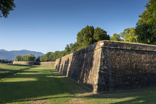 Grass in front of the fortress wall in Lucca. Italy