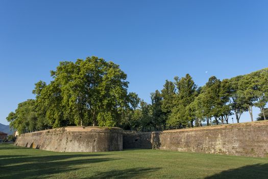 Grass in front of the fortress wall in Lucca. Italy