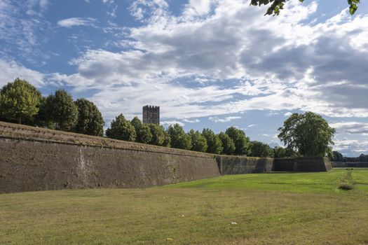 The famous medieval walls on the old city of Lucca, Italy