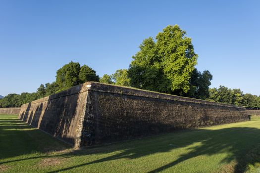 The famous medieval walls on the old city of Lucca, Italy