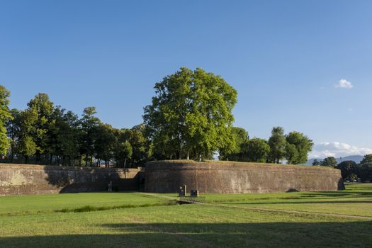 The famous medieval walls on the old city of Lucca, Italy