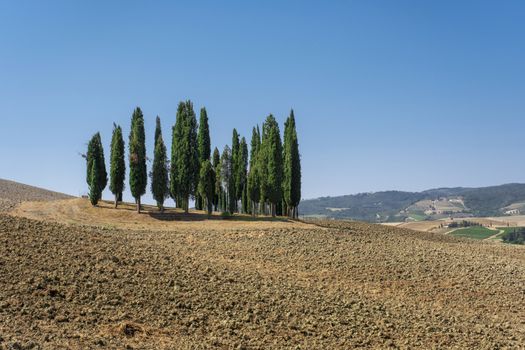 Countryside landscape in Tuscany region of Italy. Holiday setting.