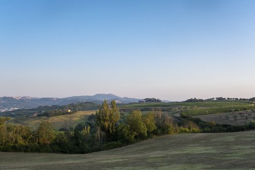 Tuscany, rural landscape in Crete Senesi land. Rolling hills, countryside farm, cypresses trees, green field on warm sunset. Siena, Italy, Europe