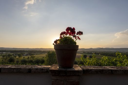 Mediterranean vineyardview with geranium pot on a terras wall.