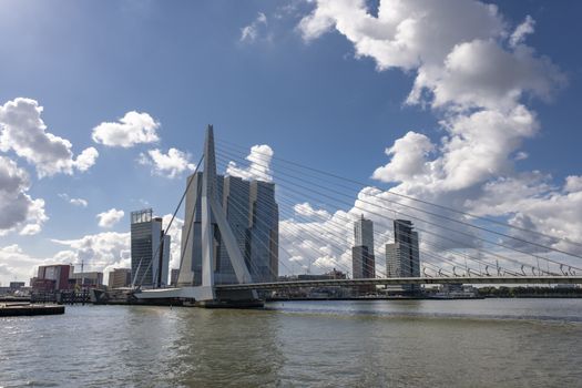 ROTTERDAM, NETHERLANDS View on Erasmus Bridge and Rotterdam port. Erasmus Bridge is one of the icons of Rotterdam in Rotterdam, The Netherlands.