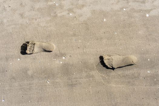 footsteps on beach in sand.
