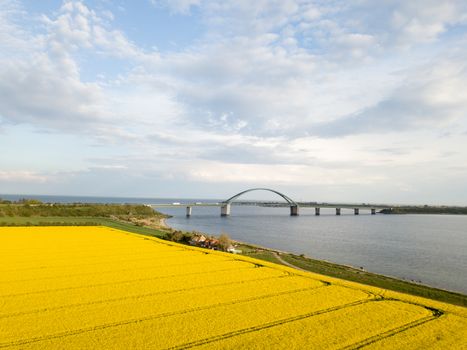 Fehmarn, Germany - May 11, 2019: Aerial drone view of Fehmarn Bridge and yellow rapeseed fields.
