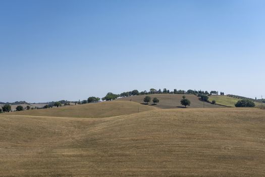 typical summer Tuscany landscape in Italy.