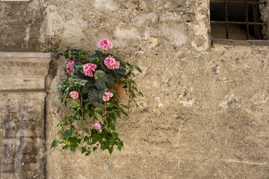 Vintage windows with open wooden shutters and fresh flowers in Italy