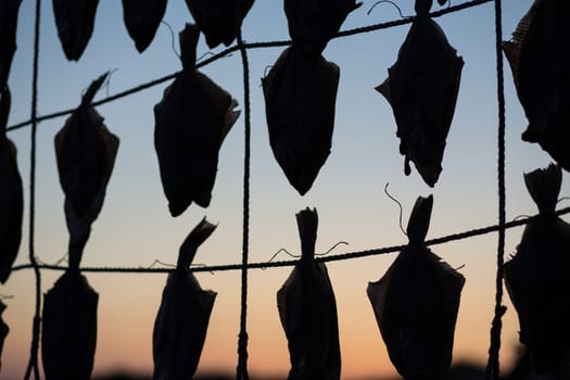 Silhouette of fish hanging to dry at the beach in Liseleje, Denmark.