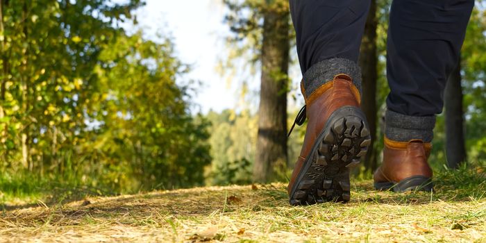 Man hiking in the woods in Autumn pine forest. Men boots walking in the woods on sunny day. hiking concept, outdoor lifestyle. Hiking man with trekking boots on the trai