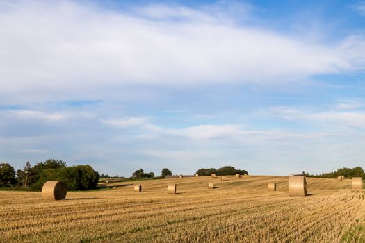 Hay bales after harvest on a field on the countryside in Northern Zealand, Denmark