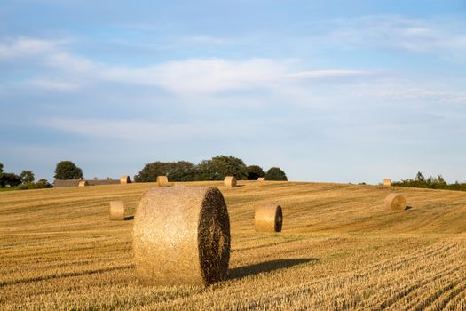 Hay bales after harvest on a field on the countryside in Northern Zealand, Denmark