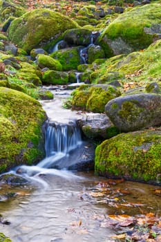 Mountain stream in the autumn forest. Cascade falls over mossy rocks. stream in Kadriorg, park, Tallinn, Estonia