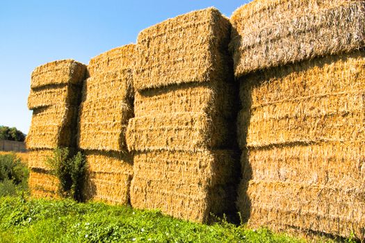 straw bales stacked in the meadow and blue sky

