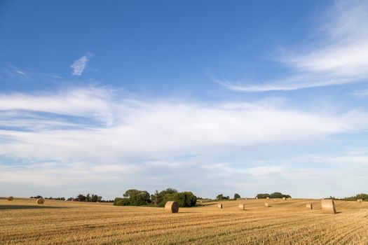 Hay bales after harvest on a field on the countryside in Northern Zealand, Denmark