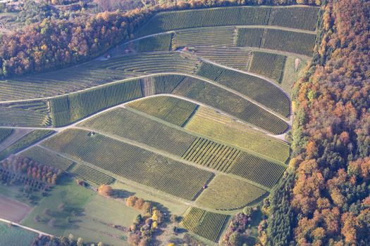 Aerial view of vineyards during autumn in Baden-Wurttemberg in Southern Germany.